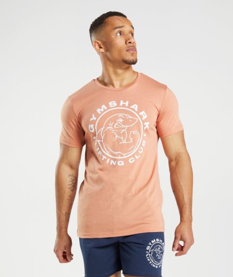 Men's Gymshark Legacy T-Shirts Orange | NZ 3TACUB